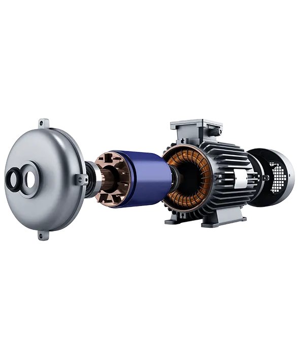 2.2.5_Electric-Vehicles_Traction-Motor