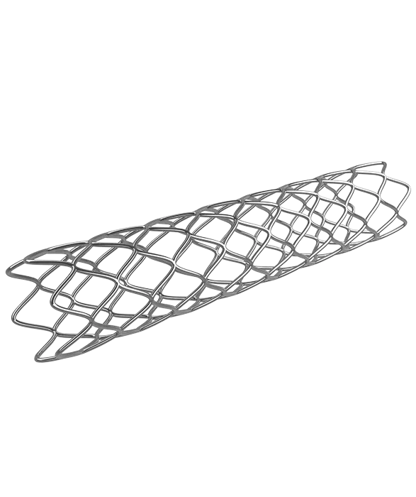 2.7.2_Cardiology_Vascular-Stents