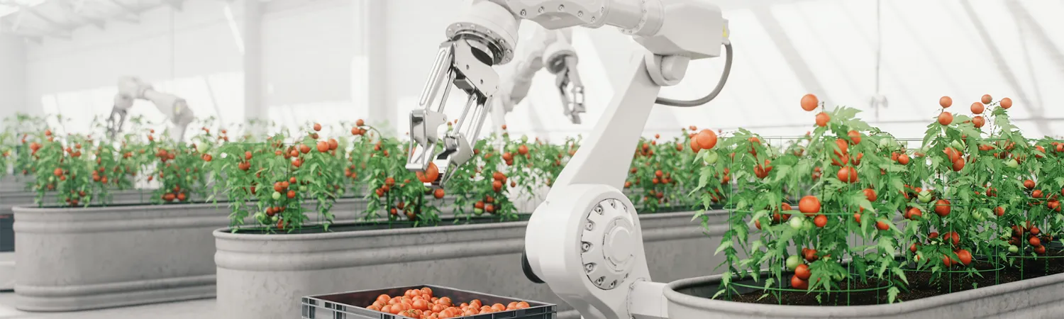 robotic machine in vegetation greenhouse